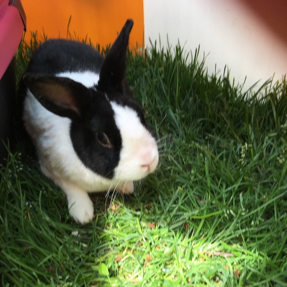 Hop on in for Added Discounts! - Picture 15 of 16